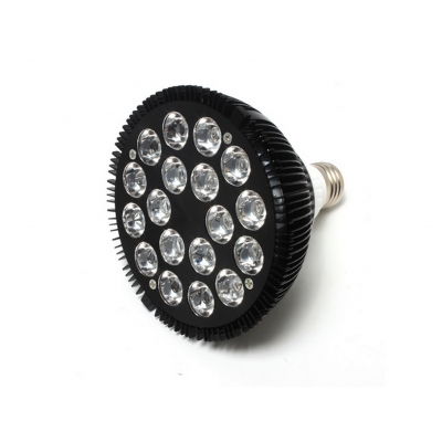 Żarówka / Lampa REEF LED E27 54W